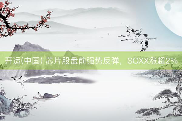 开运(中国) 芯片股盘前强势反弹，SOXX涨超2%