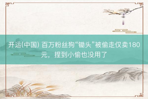 开运(中国) 百万粉丝狗“锄头”被偷走仅卖180元，捏到小偷也没用了