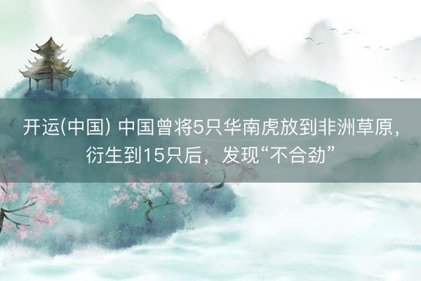 开运(中国) 中国曾将5只华南虎放到非洲草原，衍生到15只后，发现“不合劲”