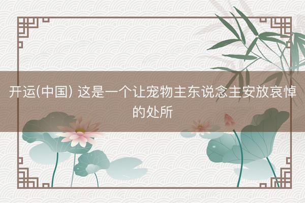 开运(中国) 这是一个让宠物主东说念主安放哀悼的处所