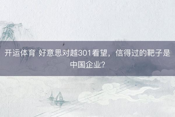 开运体育 好意思对越301看望,信得过的靶子是中国企业?